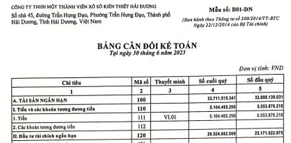 Báo cáo kết quả hoạt động kinh doanh Q2/2023