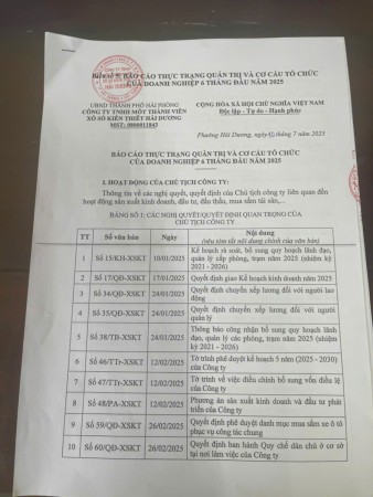 Báo cáo thực trạng QT và cơ cấu TC của DN 6 tháng 2025